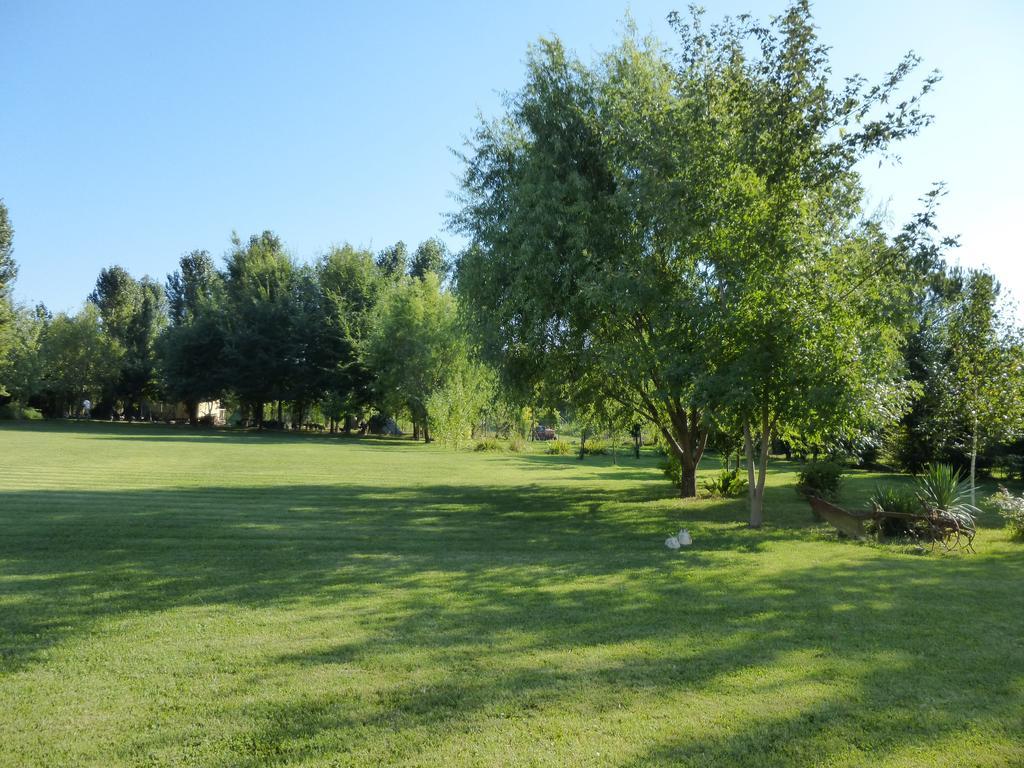 Agriturismo Ai Carpini Marcon Exterior photo